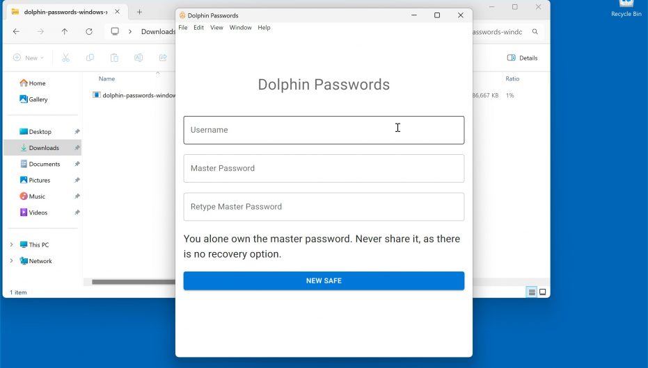 Dolphin Passwords Input Master Passwords